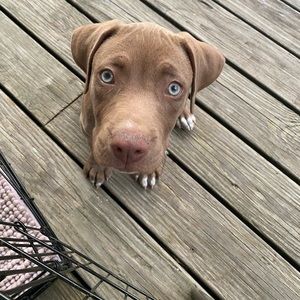 Meet your Posher, Mayra